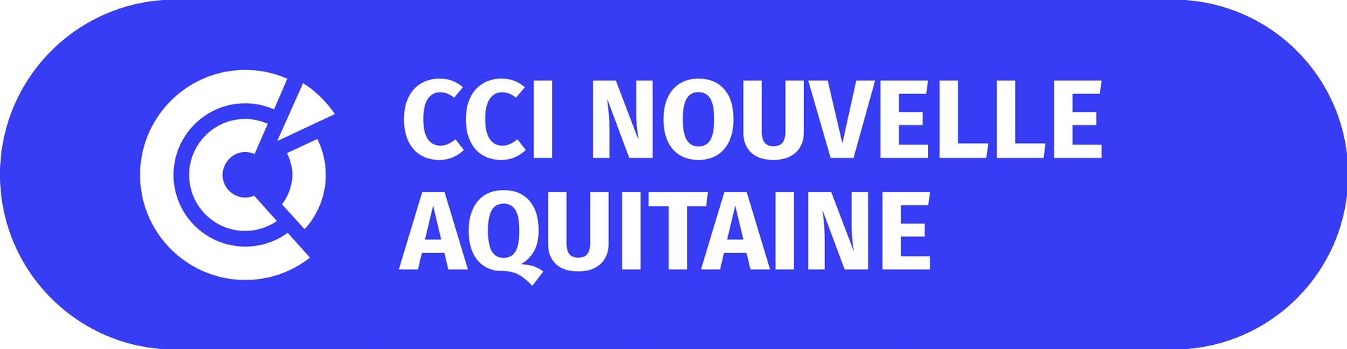 logo_na_bleu_CCI